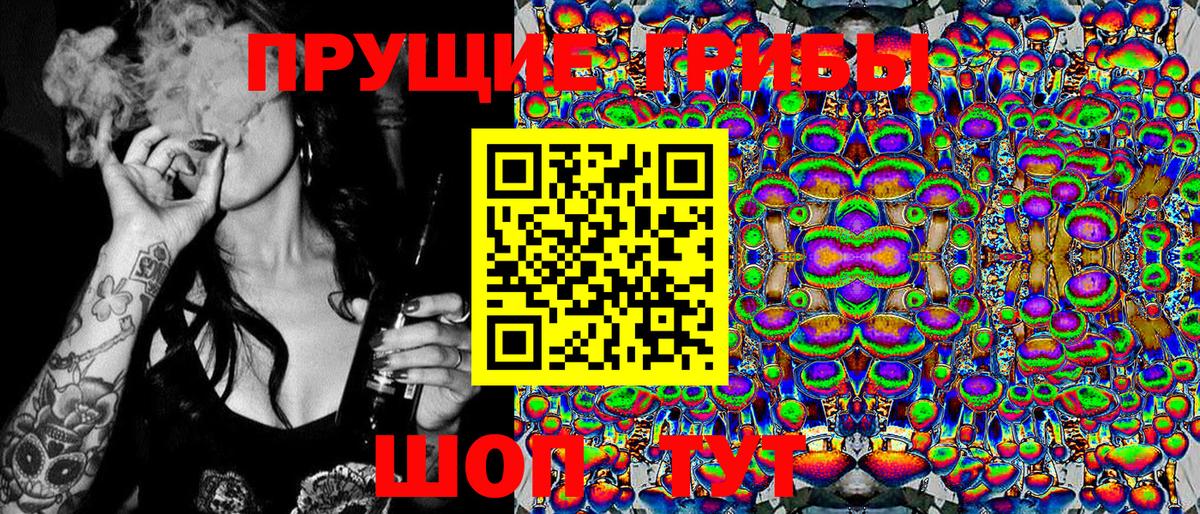 Киров  цены наркотик  Вход с VPN  Галлюциногенные грибы Psilocybine cubensis 